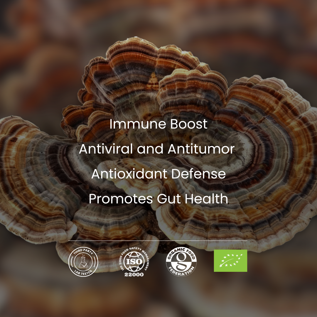 Close-up of mushrooms Turkey Tail with text highlighting their health benefits on a dark background