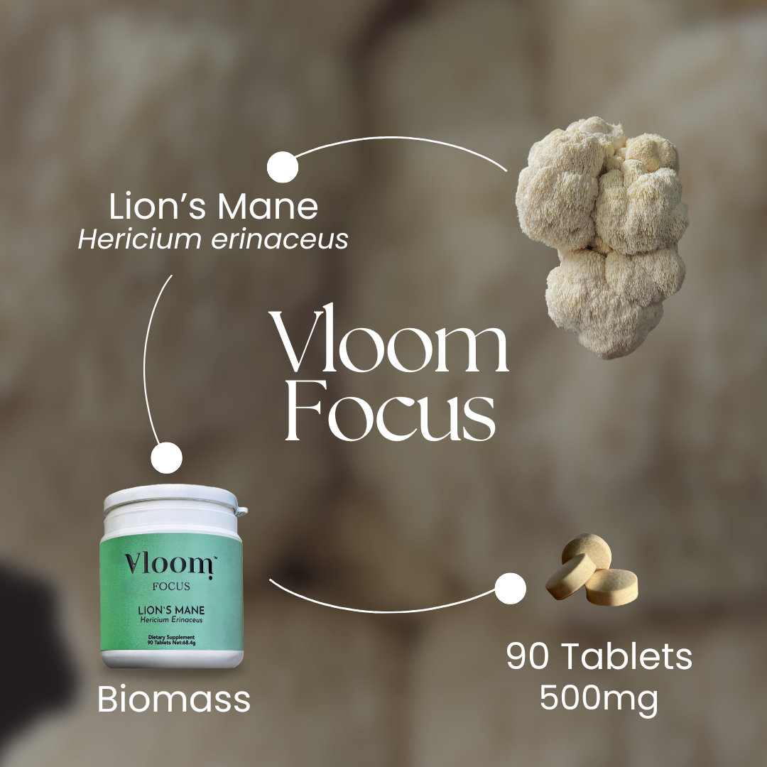 Vloom Focus product with lion's mane herb and packaging on a textured background