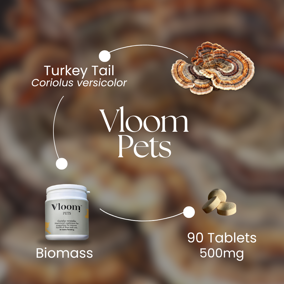 Vloom Pets product with turkey tail mushrooms and supplement container on a blurred natural background