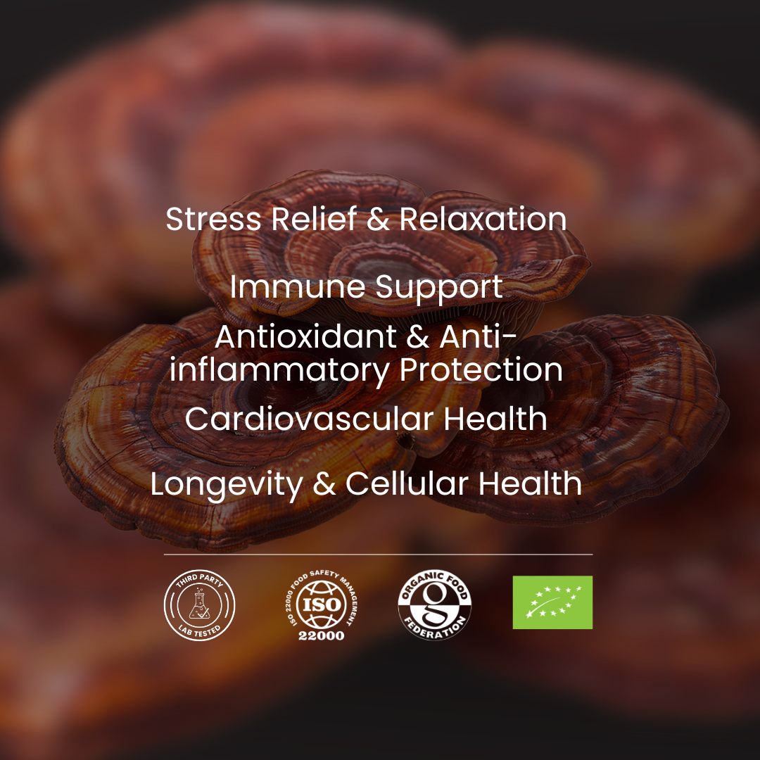 Mushroom with health benefits text on a dark background