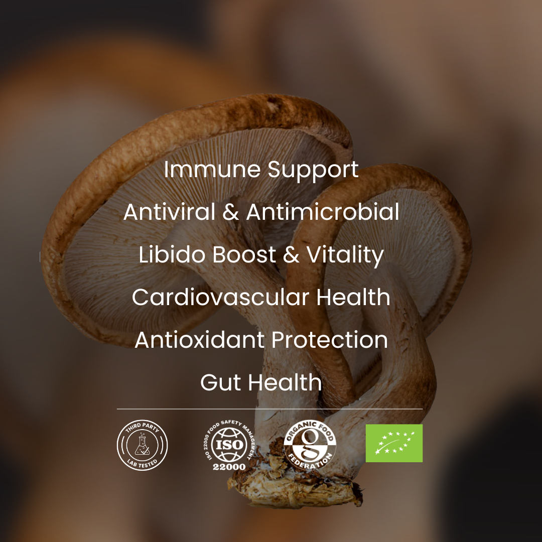 Shiitake Mushroom with health benefits text on a dark background
