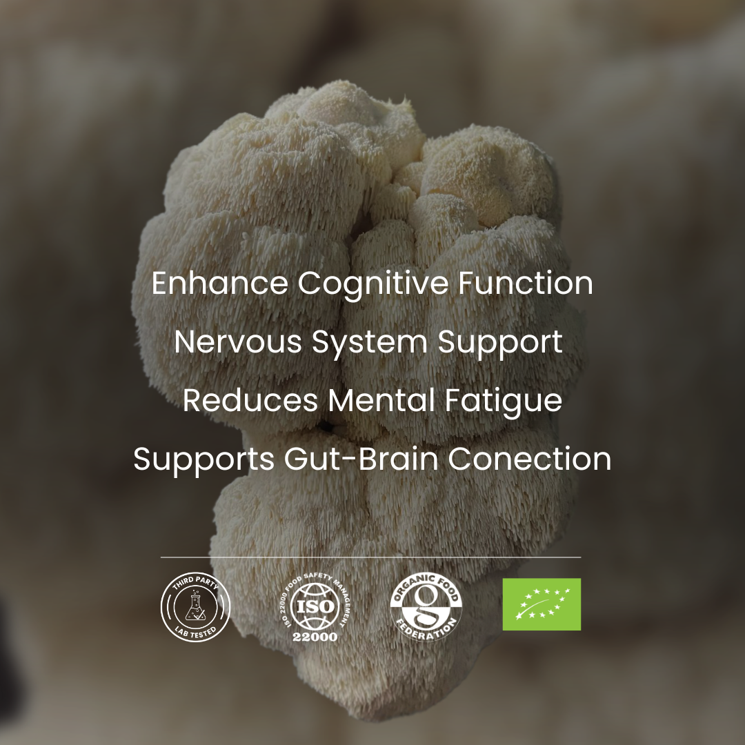 Close-up of a Lions Mane mushroom with text about its benefits on a dark background
