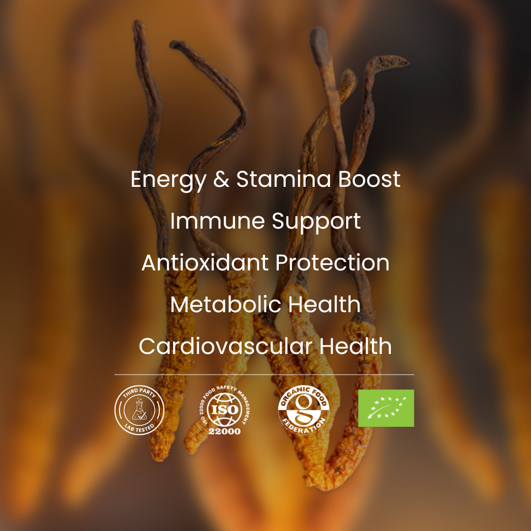 Blurred image of dried cordyceps with health benefits text overlay on a dark background