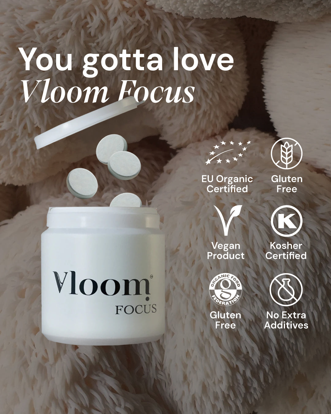 Vloom FOCUS