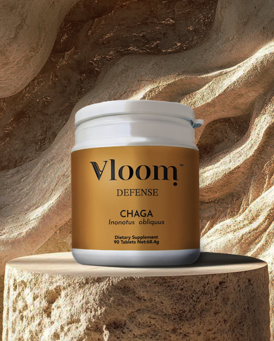 Vloom Defense Chaga supplement container on a stone surface