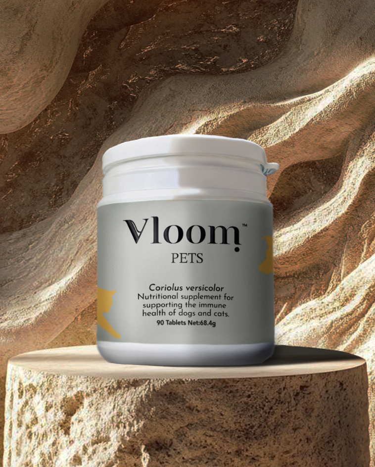 Vloom Pets supplement container on a textured stone background