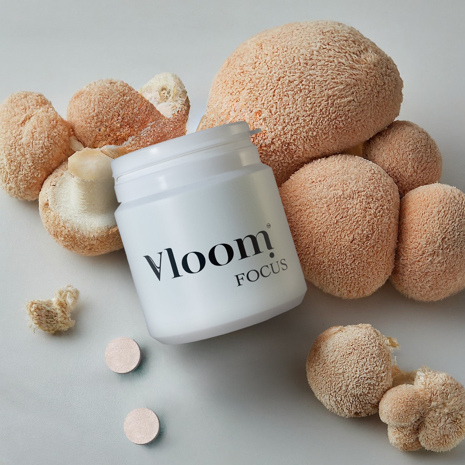 vloom mushrooms container with lion´s mane bloom focus